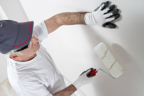 Best Asbestos and Lead Testing During Mold Inspection  in La Vale, MD