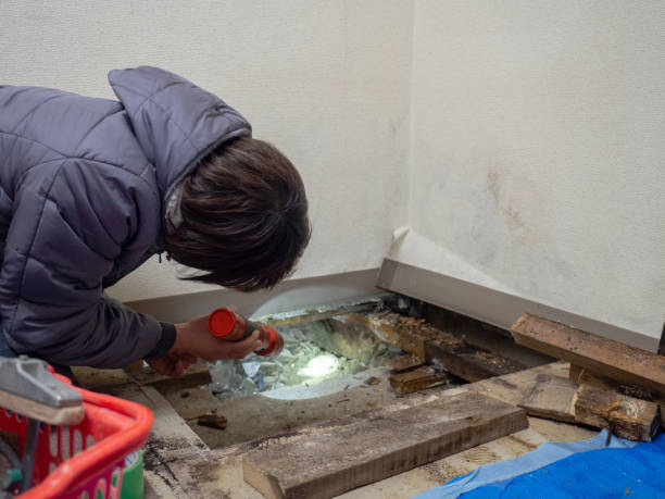 Best Mold Removal for HVAC Installations  in La Vale, MD