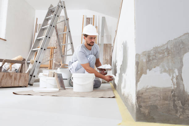 Best Air Quality Testing for Mold Spores  in La Vale, MD