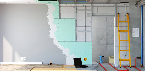 Professional Mold Removal in La Vale, MD