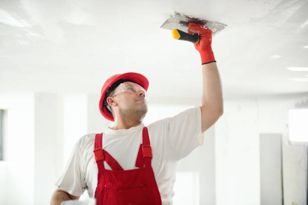 Best Attic Mold Removal  in La Vale, MD