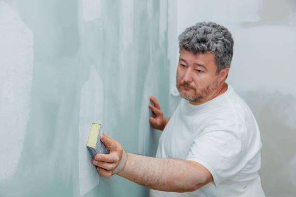Best Attic Mold Removal  in La Vale, MD