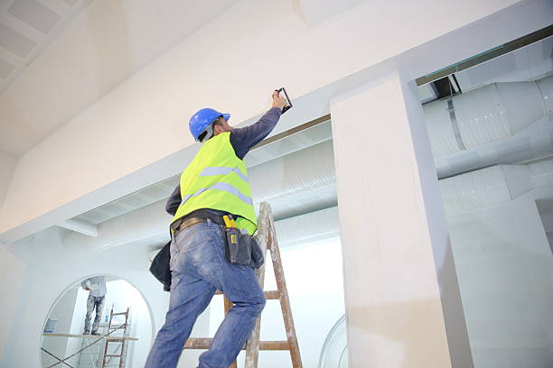 Best Mold Odor Removal Services  in La Vale, MD